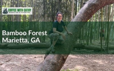 Bamboo Forest Marietta, GA