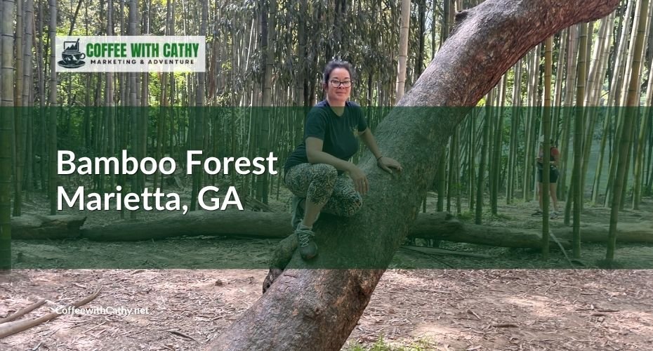 Bamboo Forest Marietta, GA
