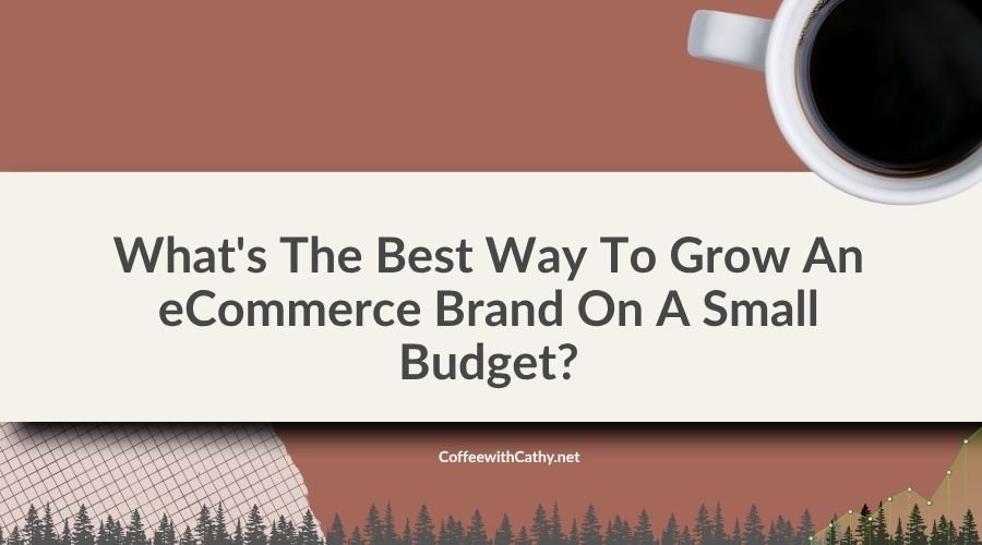 What’s The Best Way To Grow An eCommerce Brand On A Small Budget?